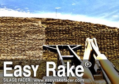 Easy-Rake-Pine-Island-3