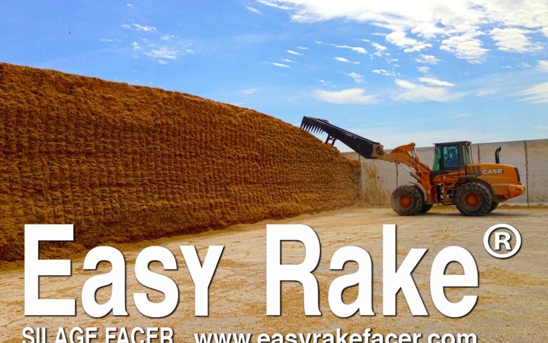 Three Reasons You Need an Easy Rake (1 of 3)