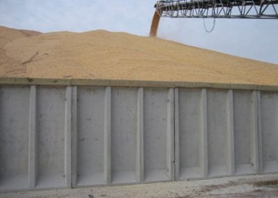 grain-filling-up-bunkerIMG_0479